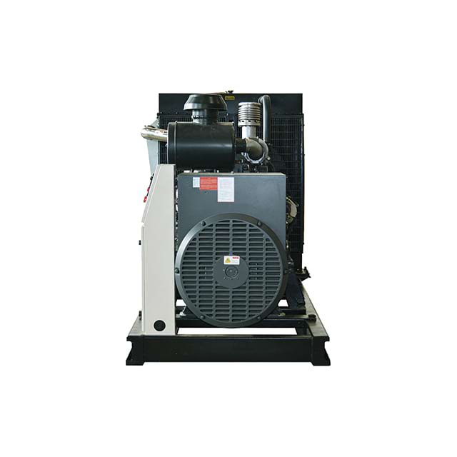 Shangchai Diesel Generator Set2