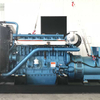 Weichai Diesel Generator Set3